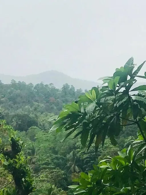 Holiday home Streamside Sanctuary - Home Stay Talatuoya Sri Lanka