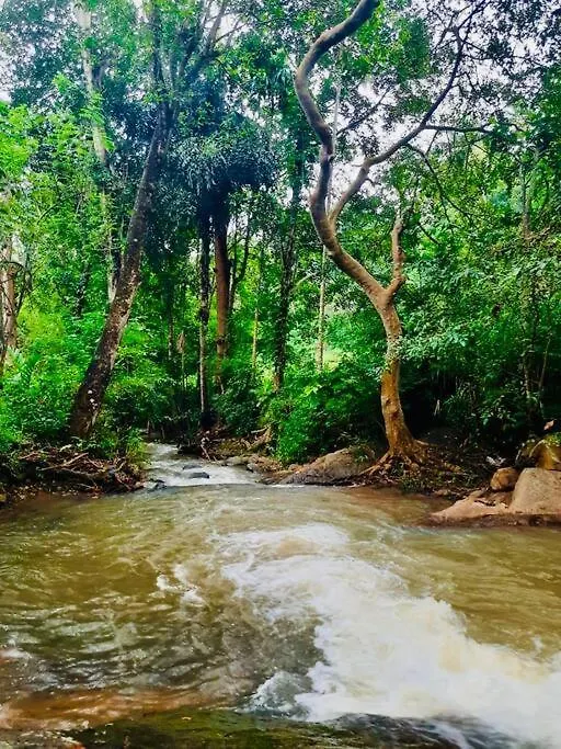 Streamside Sanctuary - Home Stay Talatuoya Holiday home