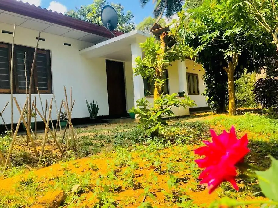 Streamside Sanctuary - Home Stay Talatuoya