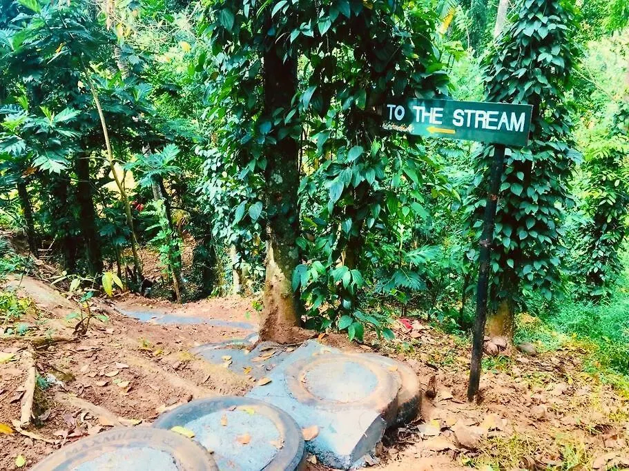 Holiday home Streamside Sanctuary - Home Stay Talatuoya Sri Lanka