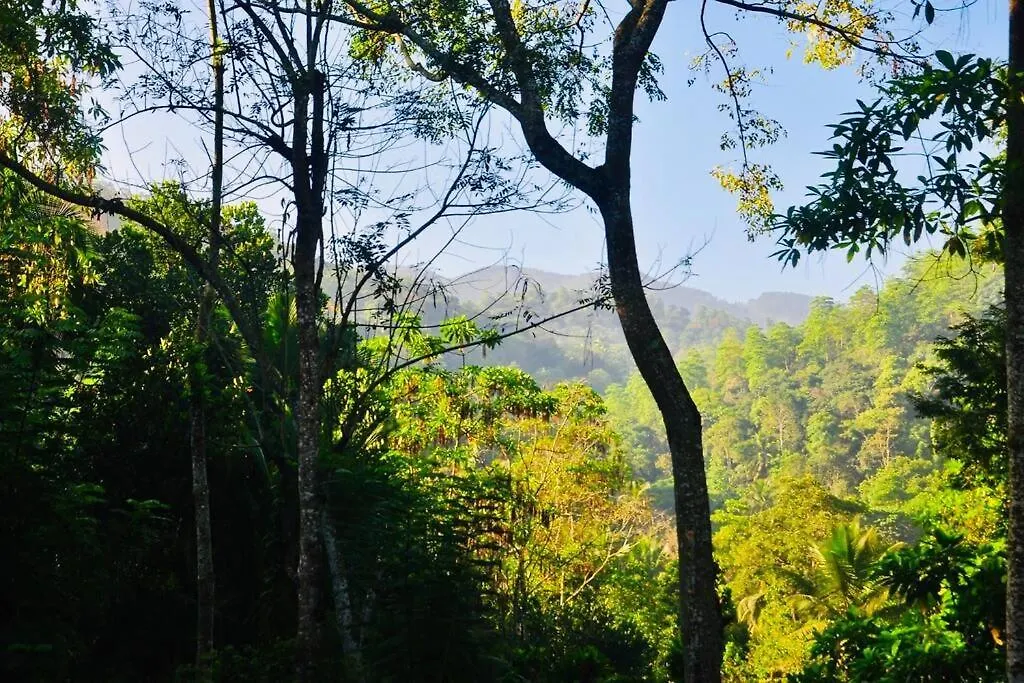 Holiday home Streamside Sanctuary - Home Stay Talatuoya
