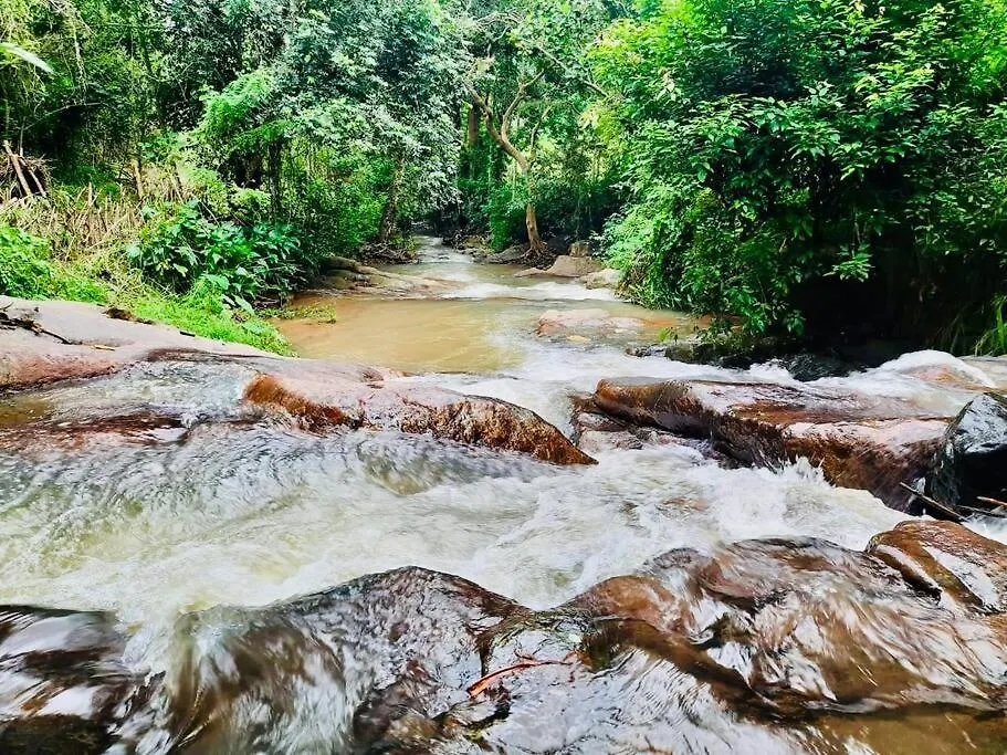 Streamside Sanctuary - Home Stay Talatuoya